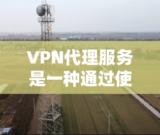 VPN代理服务是一种通过使用外部网络设备远程访问内部网络设备的技术，帮助用户在不直接访问外部网络的情况下进行远程访问。以下是关于VPN代理服务的详细总结