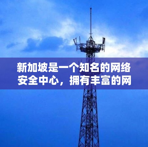 新加坡是一个知名的网络安全中心,拥有丰富的网络基础设施和先进的技术,因此成为VPN节点的首选之地。以下是一些关于新加坡作为VPN节点的详细介绍 新加坡是一个知名的网络安全中心,拥有丰富的网络基础设施和先进的技术,因此成为VPN节点的首选之地。以下是一些关于新加坡作为VPN节点的详细介绍