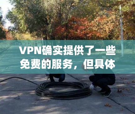 VPN确实提供了一些免费的服务，但具体免费客服的 availability 和数量可能因平台而异。以下是一些常见的VPN平台及其免费服务