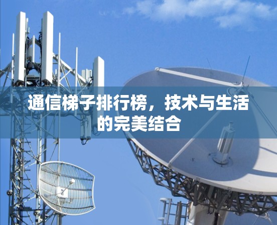 通信梯子排行榜，技术与生活的完美结合
