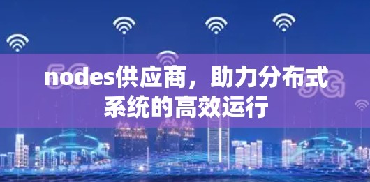 nodes供应商,助力分布式系统的高效运行 nodes供应商,助力分布式系统的高效运行