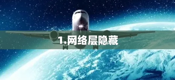 1.网络层隐藏