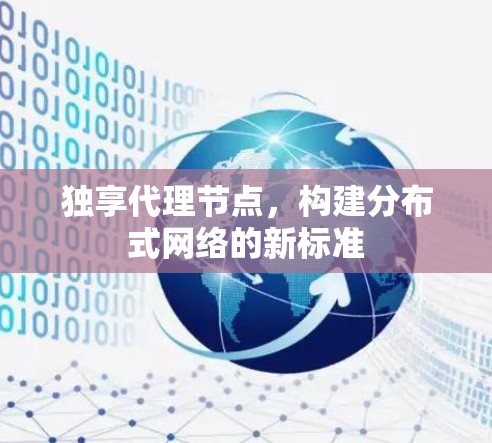 独享代理节点，构建分布式网络的新标准