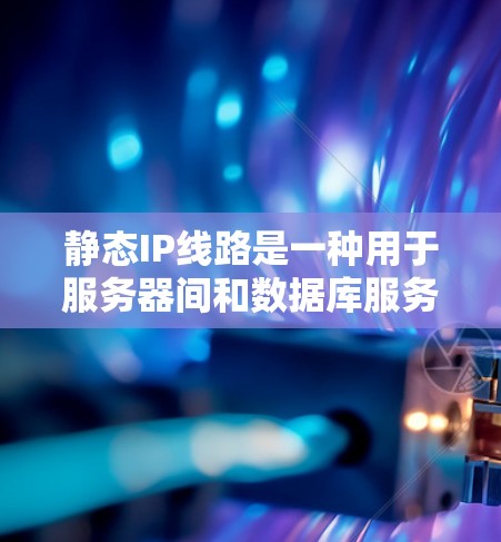 静态IP线路是一种用于服务器间和数据库服务器连接的网络架构，通过固定IP地址来实现服务器之间的通信。以下是关于静态IP线路的详细总结