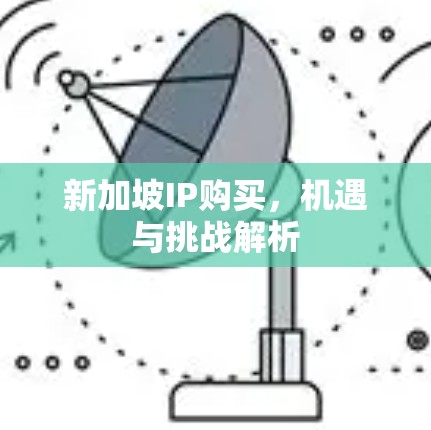 新加坡IP购买,机遇与挑战解析 新加坡IP购买,机遇与挑战解析