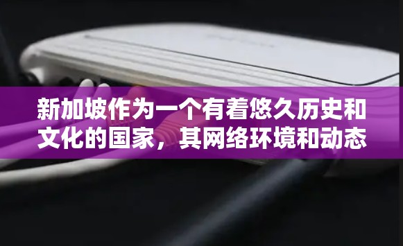 新加坡作为一个有着悠久历史和文化的国家，其网络环境和动态IP管理也各有特点。以下是一些关于新加坡动态IP的详细介绍