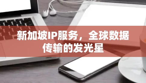新加坡IP服务，全球数据传输的发光星