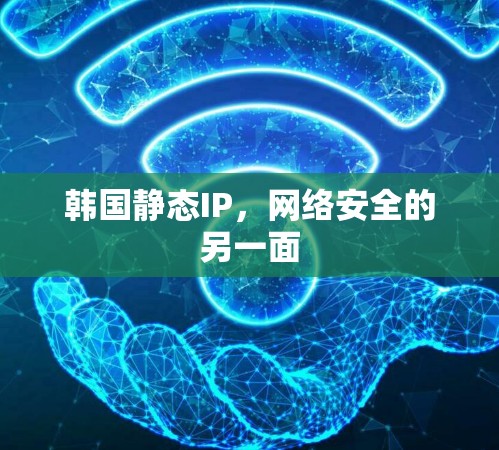 韩国静态IP，网络安全的另一面