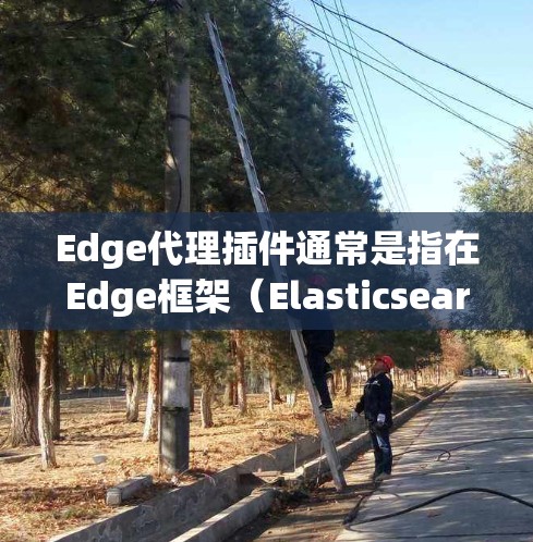 Edge代理插件通常是指在Edge框架（Elasticsearch API Engine）中添加的功能，用于增强Edge服务的性能、安全性或扩展性。以下是一些可能涉及的Edge代理插件功能及其用途