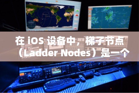 在 iOS 设备中，梯子节点（Ladder Nodes）是一个常用的布局工具，用于在屏幕上自由调整按钮、滑块或其他元素的位置。梯子节点被广泛用于界面布局、自定义响应式布局和增加设备的灵活性