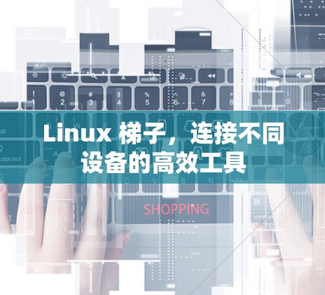 Linux 梯子，连接不同设备的高效工具