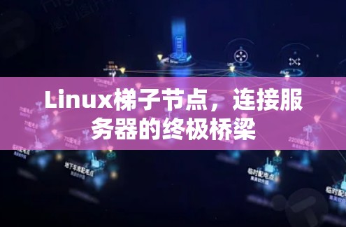 Linux梯子节点，连接服务器的终极桥梁