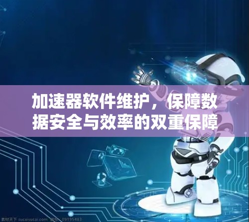 加速器软件维护，保障数据安全与效率的双重保障