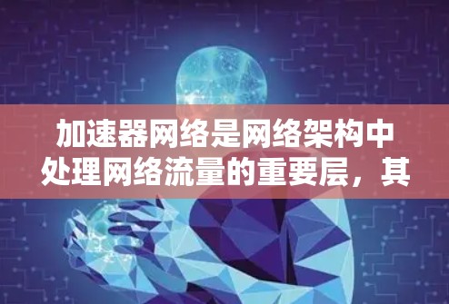 加速器网络是网络架构中处理网络流量的重要层，其设计和优化需要综合考虑多个因素，以确保高效、可靠和性能。以下是针对加速器网络的要求的详细分析