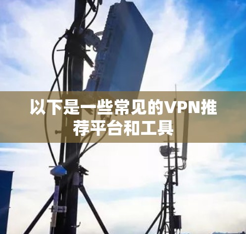 以下是一些常见的VPN推荐平台和工具