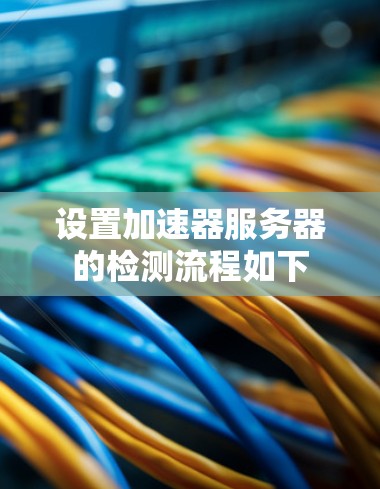 设置加速器服务器的检测流程如下