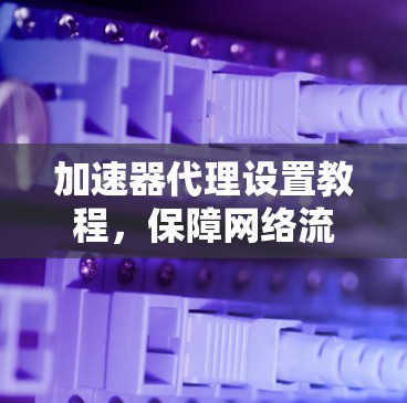 加速器代理设置教程，保障网络流量安全的经验分享