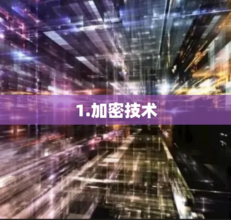 1.加密技术