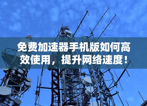 免费加速器手机版如何高效使用，提升网络速度！