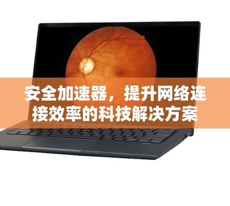 安全加速器，提升网络连接效率的科技解决方案