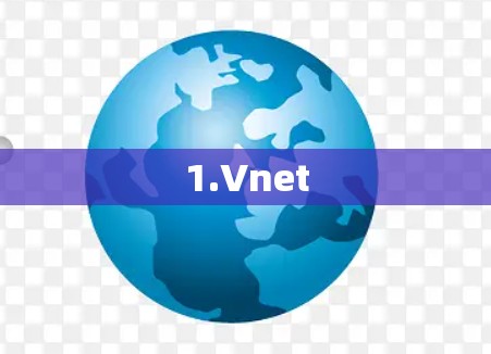 1.Vnet