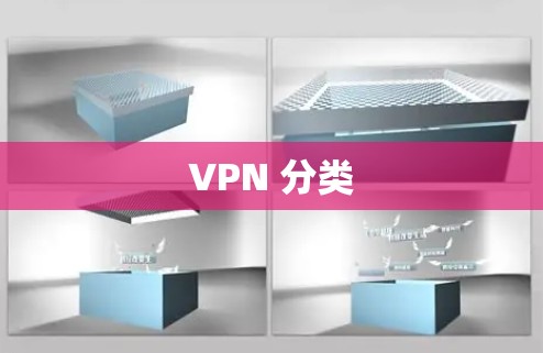 VPN 分类