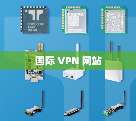 国际 VPN 网站