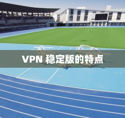 VPN 稳定版的特点