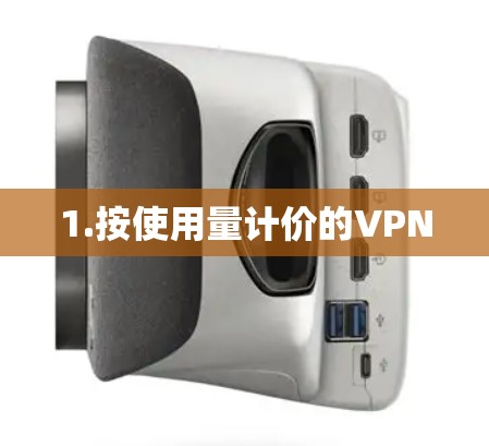 1.按使用量计价的VPN
