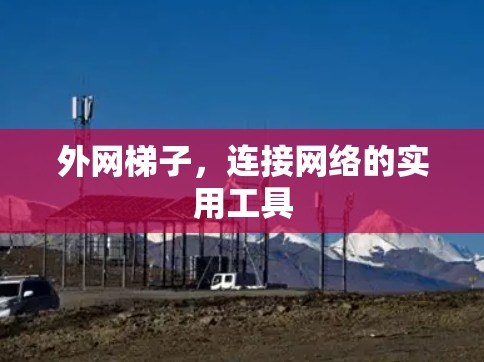 外网梯子，连接网络的实用工具