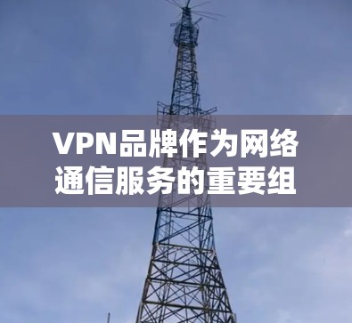 VPN品牌作为网络通信服务的重要组成部分，为用户提供了 secure 且安全的网络连接。以下是 VPN 领域的十大品牌，涵盖了专业的 VPN 公司、主流VPN品牌以及新兴的网络VPN服务提供商