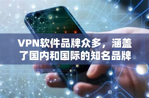 VPN软件品牌众多，涵盖了国内和国际的知名品牌。以下是一些主要的VPN软件品牌及其特点