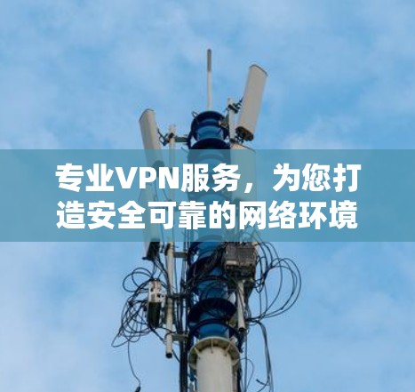 专业VPN服务，为您打造安全可靠的网络环境