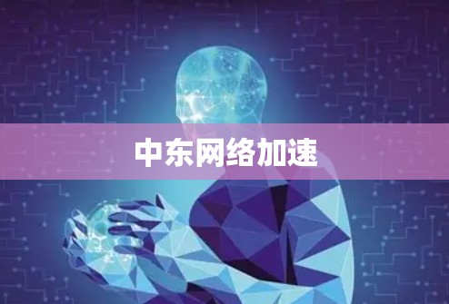 中东网络加速