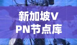 新加坡VPN节点库，技术与运营的双轮驱动，数字网络的未来之光