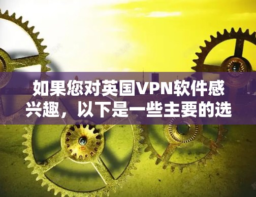 如果您对英国VPN软件感兴趣，以下是一些主要的选项