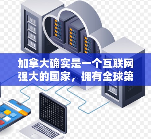 加拿大确实是一个互联网强大的国家，拥有全球第三个互联网强国的地位。虽然加拿大网络基础设施较为发达，但VPN服务的普及程度和质量可能不如一些其他国家，尤其是针对非英语的VPN服务较少