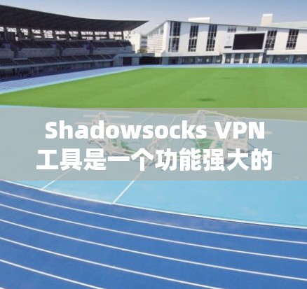 Shadowsocks VPN工具是一个功能强大的VPN解决方案，适合需要保护个人网络安全的人群。以下是使用 Shadowsocks VPN工具的步骤和建议