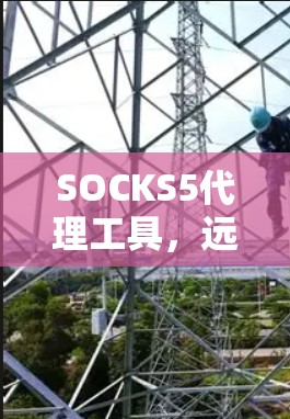 SOCKS5代理工具，远程办公的新宠，值得为您的企业点赞！