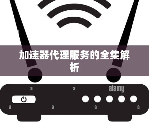加速器代理服务的全集解析