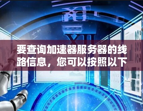 要查询加速器服务器的线路信息，您可以按照以下步骤操作