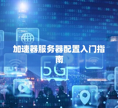 加速器服务器配置入门指南 加速器服务器配置入门指南