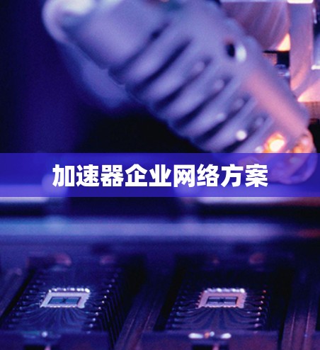 加速器企业网络方案