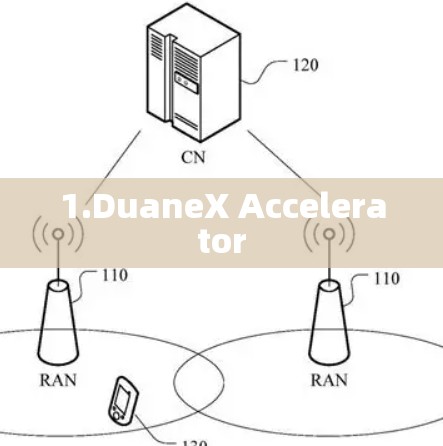 1.DuaneX Accelerator