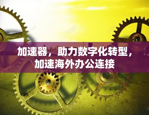 加速器，助力数字化转型，加速海外办公连接