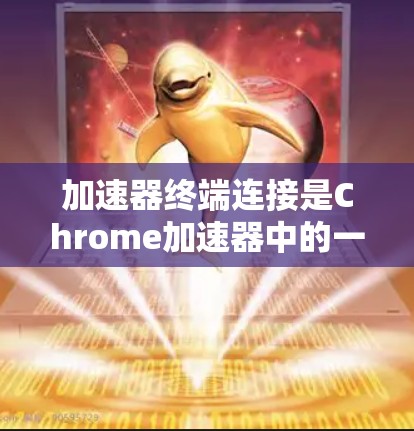 加速器终端连接是Chrome加速器中的一个功能，主要用于连接到特定的网页或应用，通常用于访问特定的网页或执行特定的脚本。以下是对加速器终端连接的详细步骤和使用指南