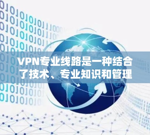 VPN专业线路是一种结合了技术、专业知识和管理能力的网络服务，旨在提供安全、高效和可靠的网络连接。以下是对 VPN 专业线路的详细分析