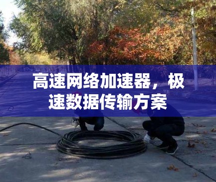 高速网络加速器，极速数据传输方案