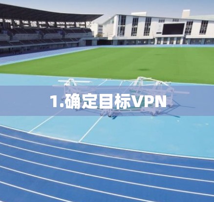 1.确定目标VPN