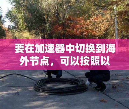 要在加速器中切换到海外节点，可以按照以下步骤操作